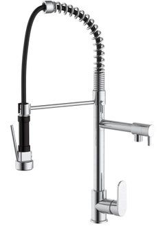 HESANIT Kitchen Faucet Deck Mounted Mixer With Pull Out Sprayer Stainless Steel Brushed - 6800-1SSB