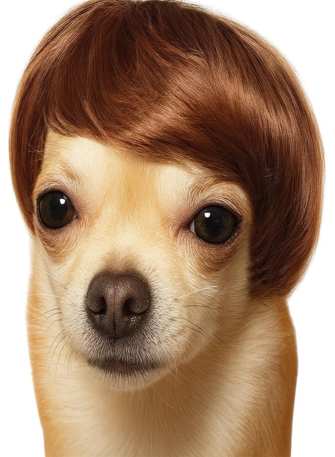 MESINURS Dog Wig Pet Costumes, Cat Costume Synthetic Accessories Small Dog Headwear for Halloween Christmas Eve Festival Party Decor, Head Wear Apparel Toy (A) - Image 1