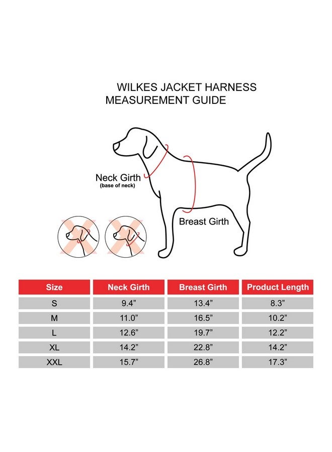 بوبيا معطف شتوي للكلاب من Wilkes مع حزام متكامل بدون سحب مقاوم للماء والطقس البارد وسحاب خلفي من الصوف الدافئ للكلاب الصغيرة والمتوسطة، أزرق داكن، كبير - Image 4
