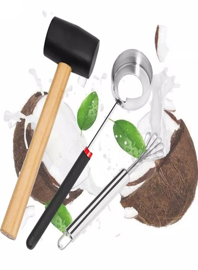ZLMC Coconut Opener Tools Set with Hammer,Meat Removal Scraper, Rubber Mallet, Hole Maker Puncher for Young & Mature Coconuts,Multifunctional Kitchen Tools, Safe& Easy to Use - Image 1