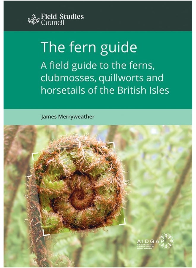 null - The Fern Guide: A Field Guide to the Ferns, Clubmosses, Quillworts and Horsetails of the British Isles - Image 1