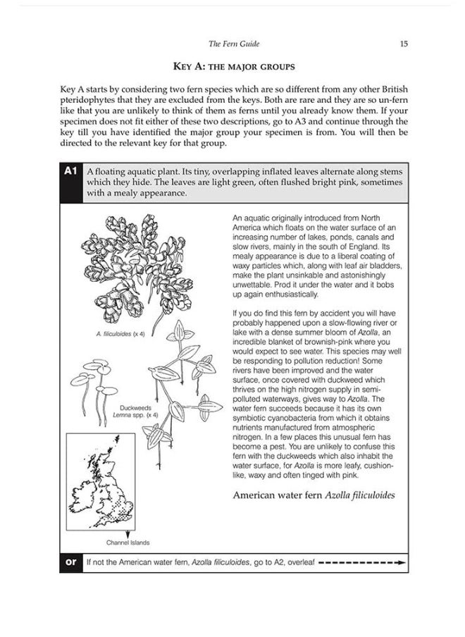 null - The Fern Guide: A Field Guide to the Ferns, Clubmosses, Quillworts and Horsetails of the British Isles - Image 1