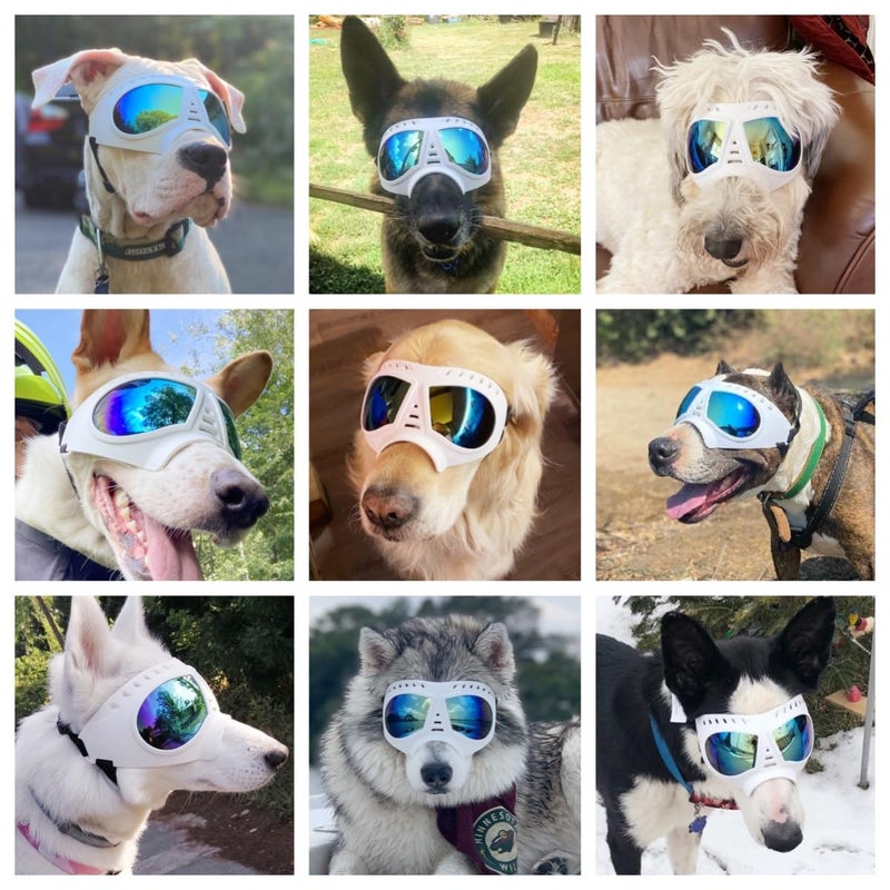 Namsan Dog Goggles for Large Dogs, Wide Nose, Soft Frame, Anti-UV Tactical Dog Sunglasses Medium to Large Breed, Summer Driving Dog Eye Protection, Winter Snow Eyewear, Adjustable, White - Image 2