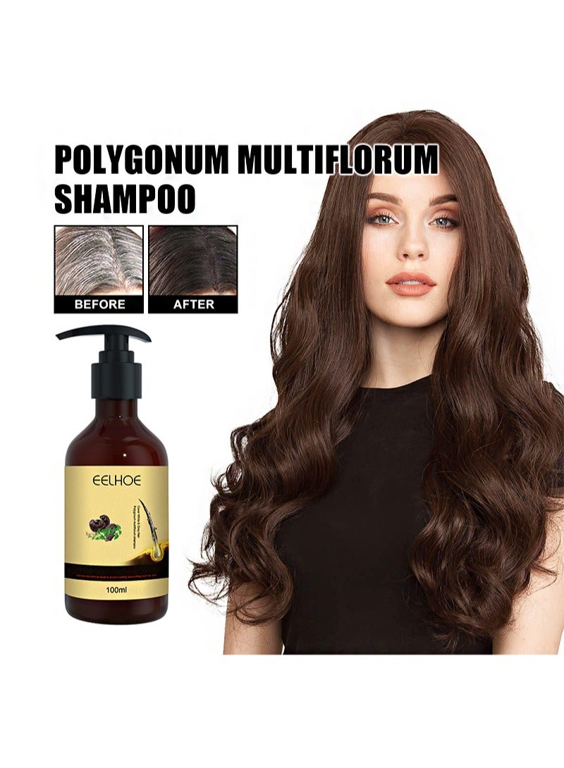إيلهو شامبو بوليغونوم مالتيفلوروم، يمنع تساقط الشعر، ويتحكم في الزيت، وينعم الشعر الأسود، ويصلح ويرطب فروة الرأس (100 مل) - Image 2