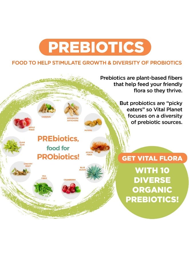 Vital Planet - Vital Flora 100/100 Shelf Stable Advanced Biome Probiotic 30 Capsules - Image 5