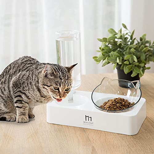 Marchul Double Elevated Dog Cat Bowl, Pets Water and Food Bowl Set, 15° Raised Tilted Dishes Indoor for Kitten, Puppies, Small or Medium Size Dogs Cats - Image 2