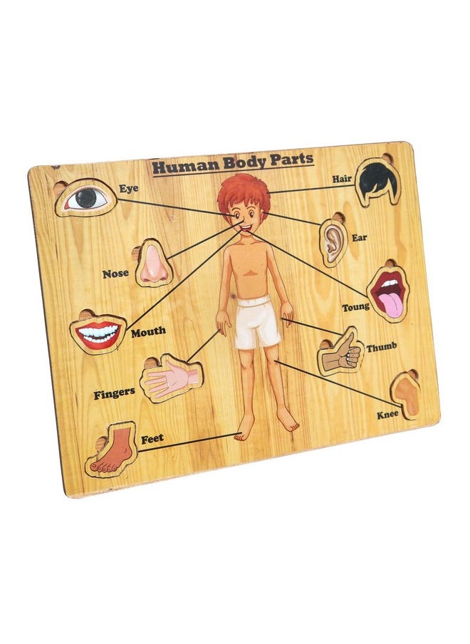 HomeCute - Homecute Wooden Puzzle Educational Toy for Kids,Montessori Wooden Puzzles for Children,Learning Puzzle for Toddlers & Preschoolers,Toys for Boys and Girls (Pack of 3-Human Body Part,Birds & Animals) - Image 1