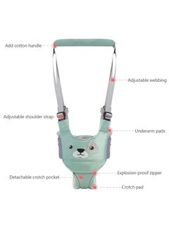 Generic Handheld Kids Toddler Walking Harness Helper Assistant Protective Belt Child Activity Walker Adjustable Up Walking Learning Helper(Green)  - Image 3