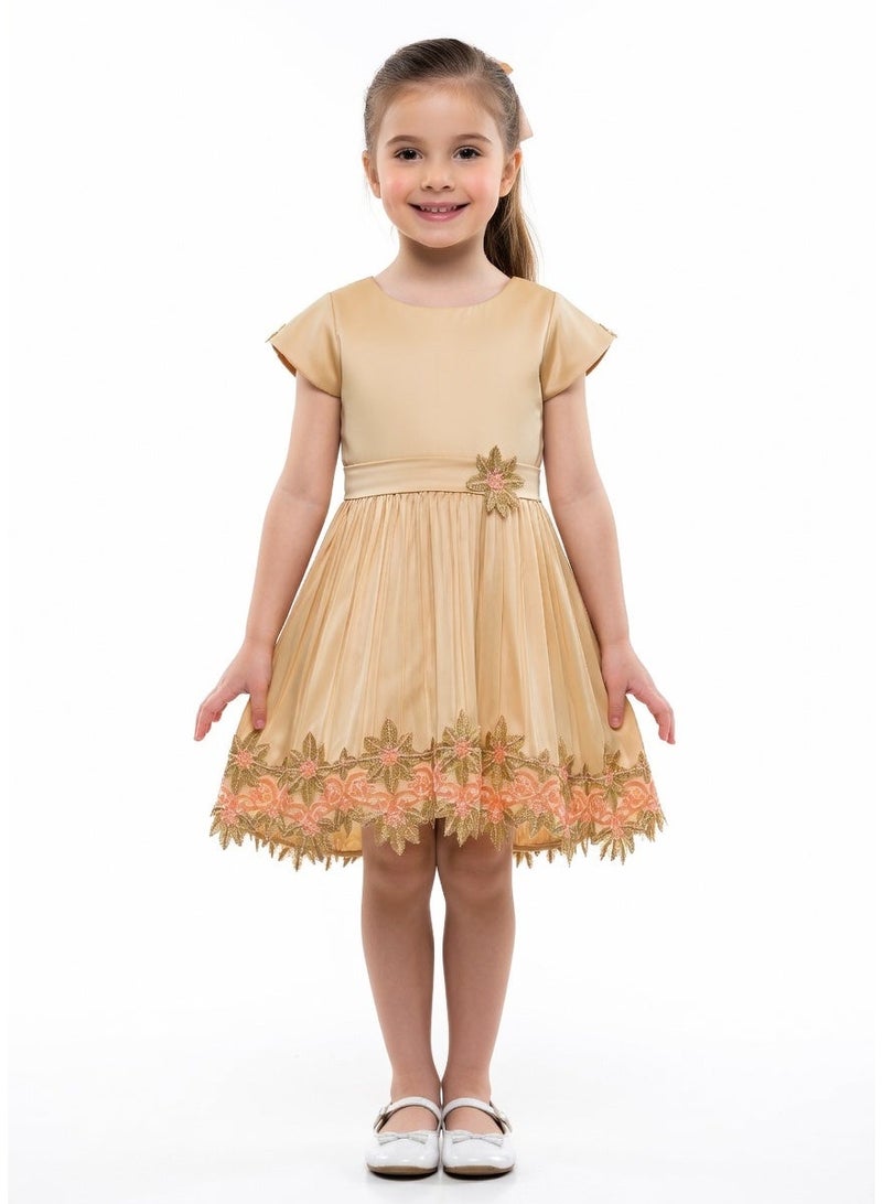 Queen GOLDY W LACE Girls Party Dress, Princess Dress Party Wear Wedding Evening Formal Pageant Dance Gown for Birthday Kid Girls Elegant - Image 1