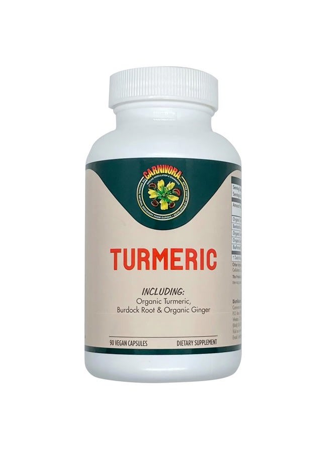 Carnivora Turmeric – All Natural Support for Joints and Digestive Health. Strong Antioxidant Properties, Promotes a Healthy Inflammatory Response (90 Vegan Capsules) - Image 1