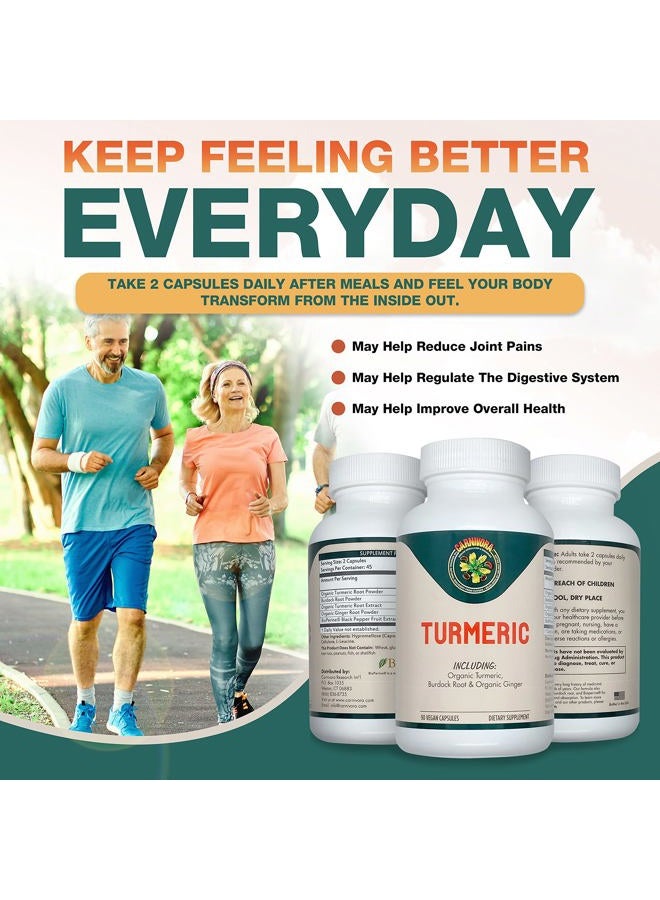 Carnivora Turmeric – All Natural Support for Joints and Digestive Health. Strong Antioxidant Properties, Promotes a Healthy Inflammatory Response (90 Vegan Capsules) - Image 5