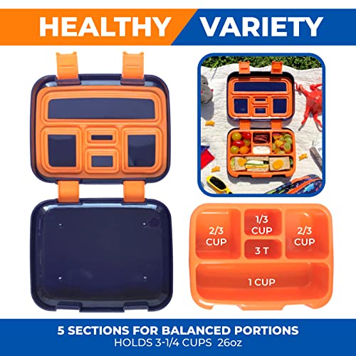 Kinsho Dinosaur Bento Lunch Box for Boys Toddlers, 5 Portion Sections Secure Lid, Microwave Safe BPA Free Removable Plastic Tray, Pre-School Kid Daycare Lunches Snack Container Ages 3 to 7 Blue Orange - Image 5