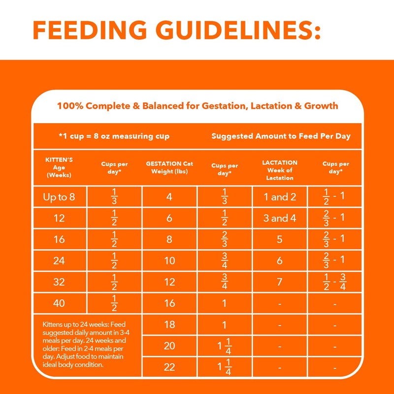 IAMS Proactive Health Healthy Kitten Dry Cat Food with Chicken, 7 lb. Bag - Image 5