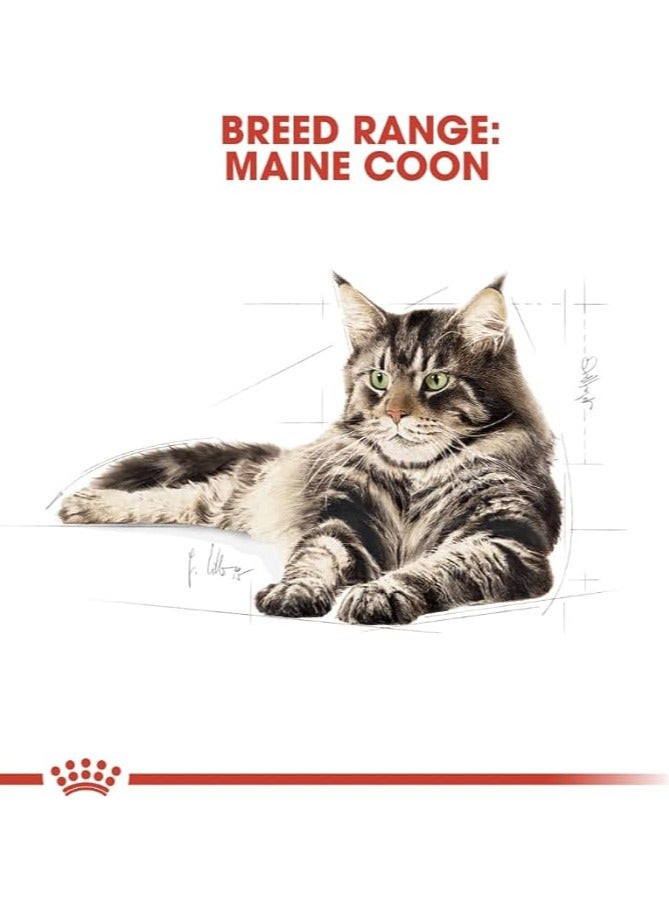 رويال كانين تغذية رويال كانين للقطط من سلالة ماين كون البالغة بوزن 2 كجم - Image 5