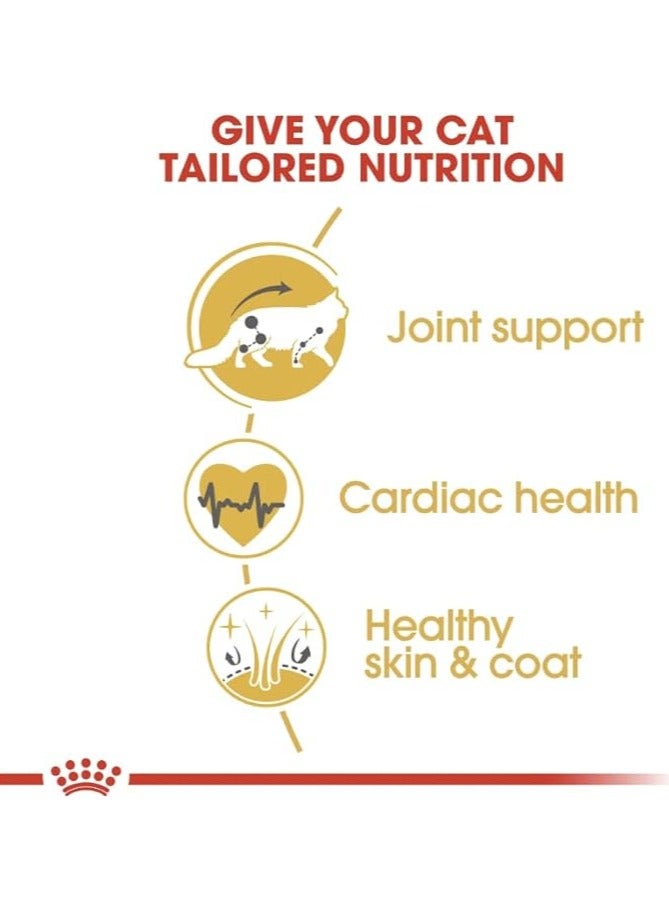 رويال كانين تغذية رويال كانين للقطط من سلالة ماين كون البالغة بوزن 2 كجم - Image 4