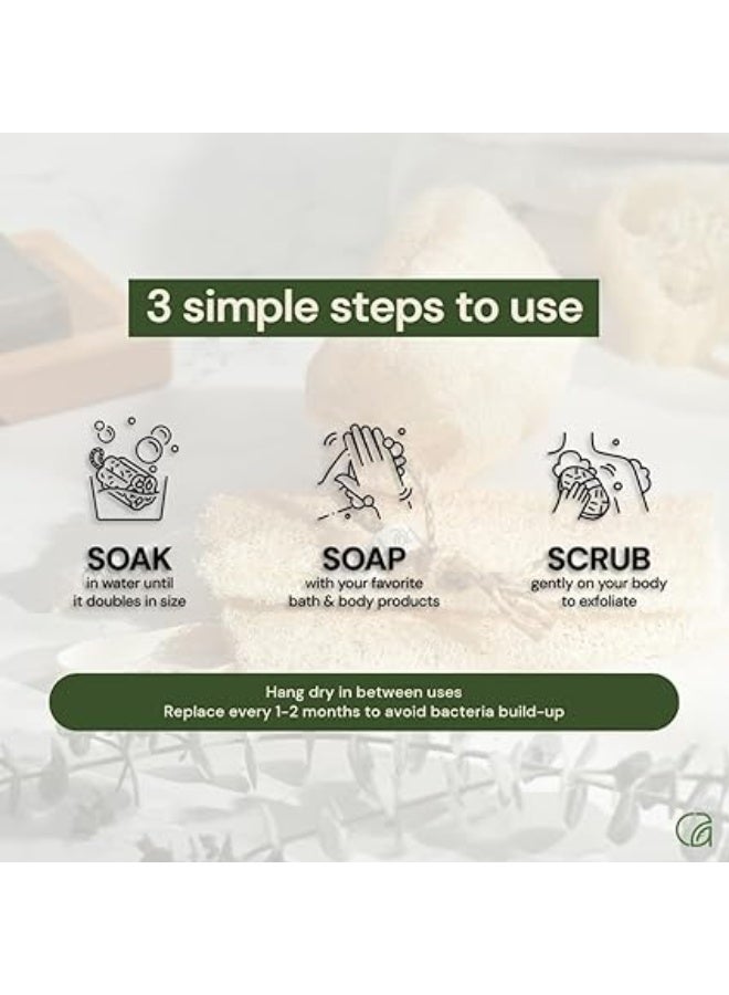 ليفة مصرية طبيعية كاملة من 38 إلى 45 سم، إسفنجة استحمام عضوية لتقشير الجسم، صديقة للبيئة وقابلة للتحلل البيولوجي لتنظيف عميق وبشرة ناعمة، خالية من المواد الكيميائية (3 قطع) - Image 5