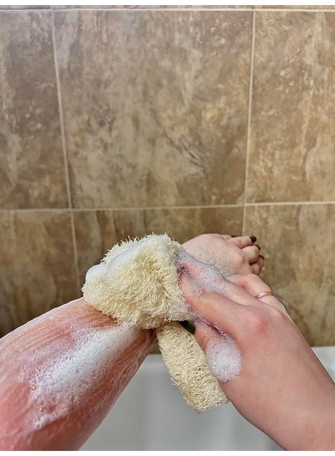 ليفة مصرية طبيعية كاملة من 38 إلى 45 سم، إسفنجة استحمام عضوية لتقشير الجسم، صديقة للبيئة وقابلة للتحلل البيولوجي لتنظيف عميق وبشرة ناعمة، خالية من المواد الكيميائية (3 قطع) - Image 2