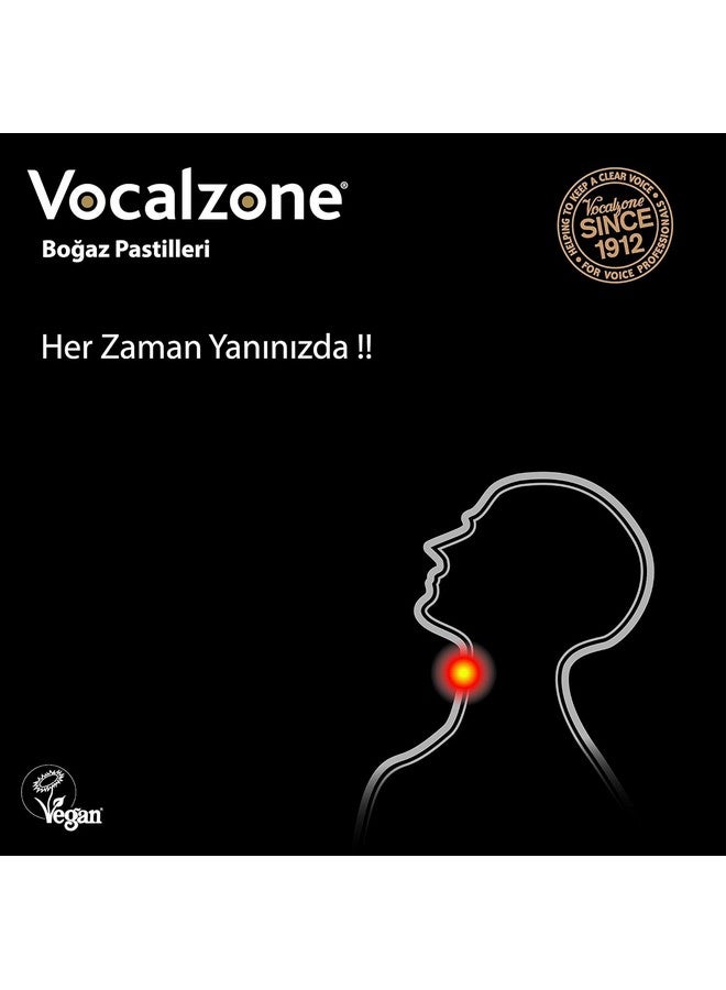 Vocalzone Throat Pastilles 24 Blackcurrant - Image 4