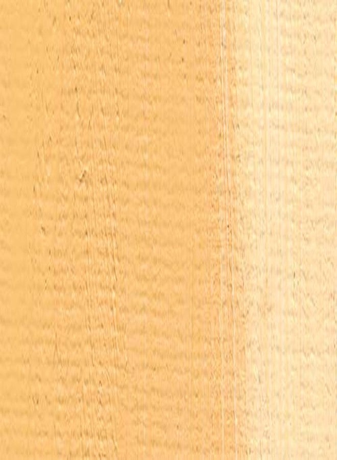 Lukas Studio Artist Oil Color Paints - High-pigment oil paint made with natural binder for artist, painting, & more! - [Naples Yellow - 200 mL] - Image 3