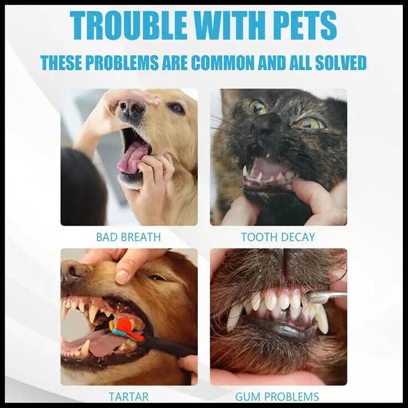 Pets Dental Toothpaste for Cats & Dogs, Beef Flavor, Cleans Teeth, Fights Bad Breath & Promotes Strong Teeth (100g) - Image 1