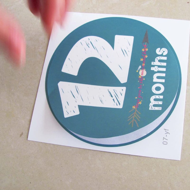 12 Newborn Photo Prop Decals Stickers Baby Months First Year Milestone - Image 3