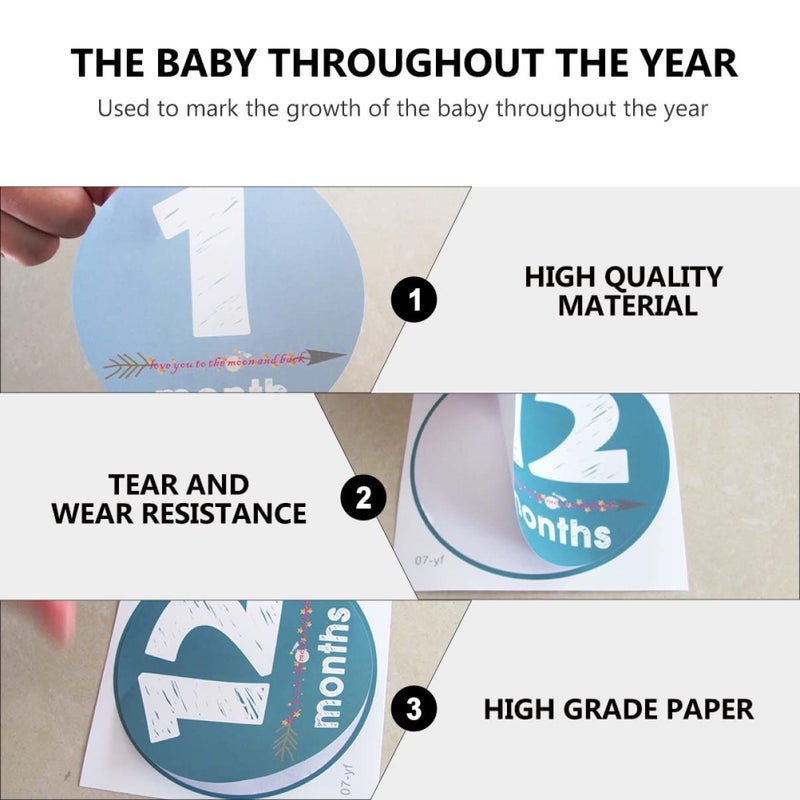 12 Newborn Photo Prop Decals Stickers Baby Months First Year Milestone - Image 5