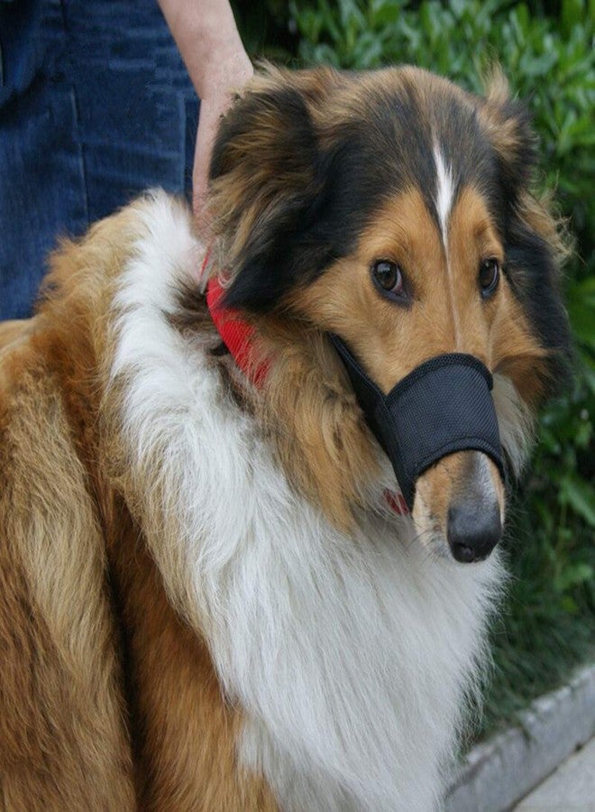 JYHY Dog Muzzles Suit - 7PCS Dog Muzzles Adjustable Quick Fit pet Muzzle Prevent from Biting Barking and Chewing for Small Medium Large Dogs,Black - Image 3