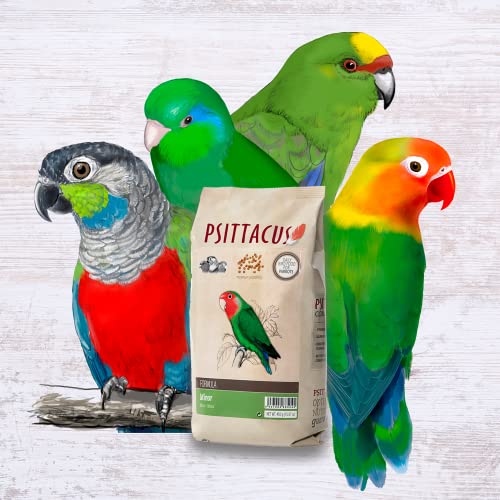 PSITTACUS بسيطاكوس ماينور 1 رطل | نظام غذائي كامل من الكريات لطيور الحب، الببغاوات الصغيرة والخدود الخضراء | طعام متميز للطيور، 100% خالي من الكائنات المعدلة وراثيًا - Image 3