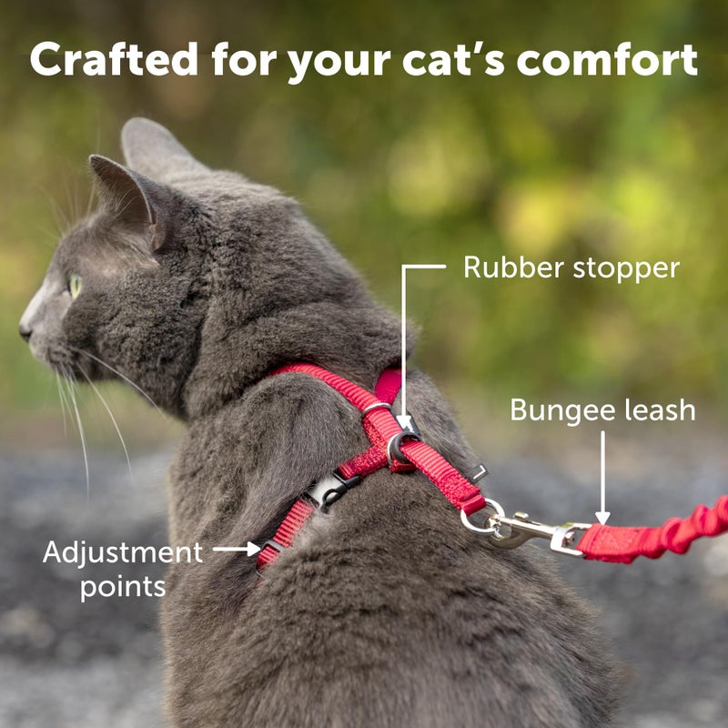 PetSafe Come with Me Kitty Cat Harness & Bungee Leash - Comfortable No-Choke Harness with Lightweight Bungee Leash for Outdoor Fun - Escape Free Pulling Prevention - Medium - Dusty Rose - Image 5