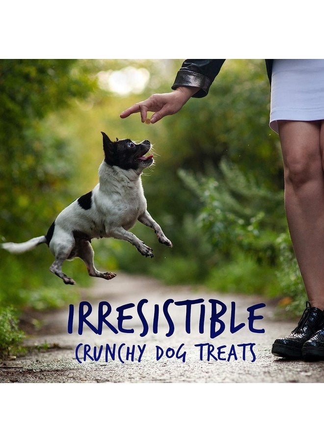 Fruitables Skinny Mini Low Calorie Dog Treats, Healthy Soft Dog Treats for Senior Dogs or Pups, Training Sweet Potato Dog Treats, 12 oz (Variety) - Image 3