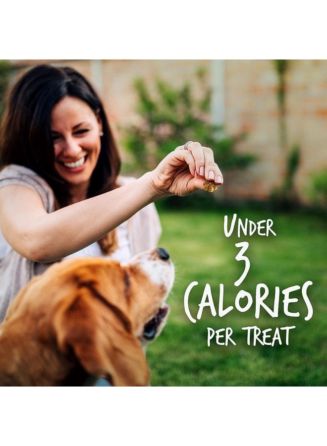 Fruitables Skinny Mini Low Calorie Dog Treats, Healthy Soft Dog Treats for Senior Dogs or Pups, Training Sweet Potato Dog Treats, 12 oz (Variety) - Image 2