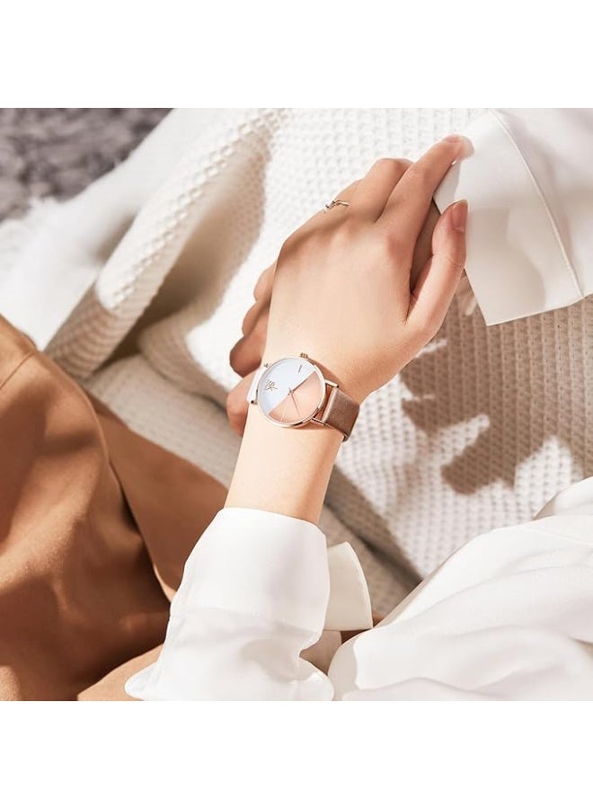 SHENGKE Creative Contrast Color Simplicity Women Watch Genuine Leather Elegant Women Watches Ladies Wristwatch - Image 5