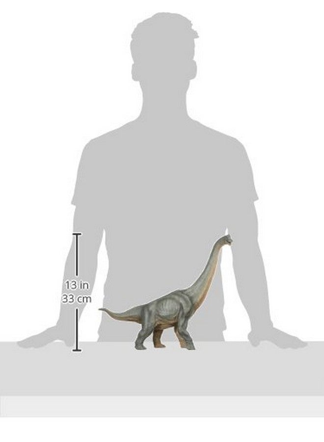 Papo Papo The Dinosaur Figure, Brachiosaurus , 31cm - Image 2