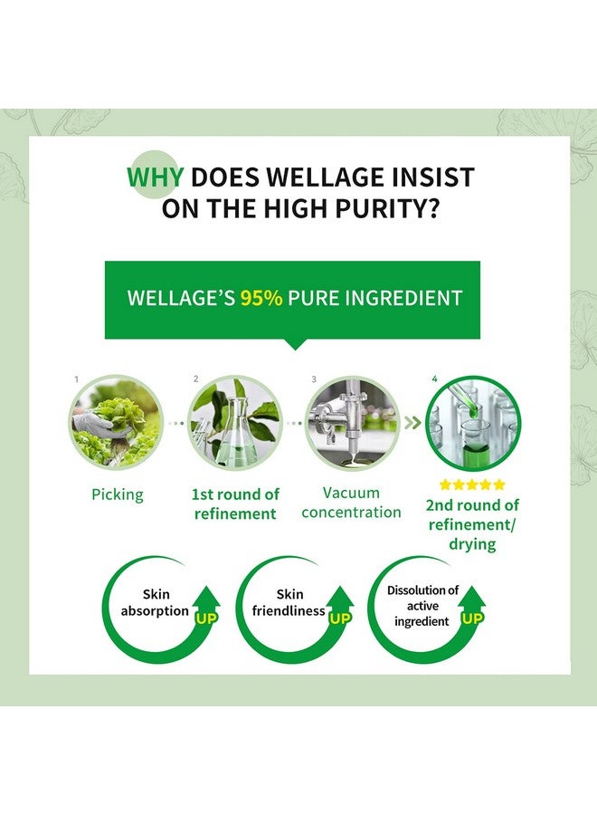 ويليدج كريم ويلاج سيكا المهدئ 2.7 أونصة - مرطب مهدئ للوجه مع ماديكاسوسيد عالي النقاء - يهدئ البشرة الحساسة، مضاد للاحمرار، مضاد للتقشر - Image 3