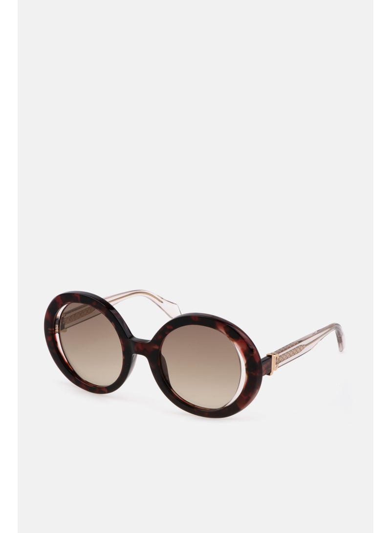 Just Cavalli نظارات شمسية دائرية من الأسيتات للنساء SJC028 5109JC - حجم العدسة: 51 مم - هافانا حمراء لامعة - Image 1