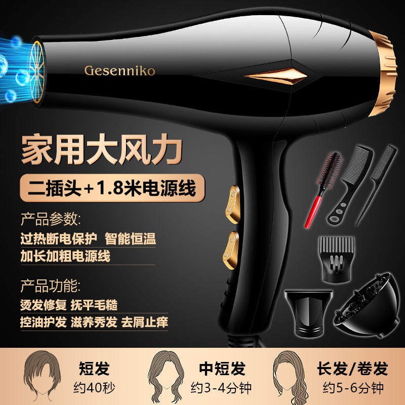 general New Barber Shop Constant Temperature Large Wind Hair Dryer Blue Light Quick Drying Hair Care High Power Household Hair Dryer Batch Generation HairYaoye black strong wind 1300W Home Free Six Yaoye bl