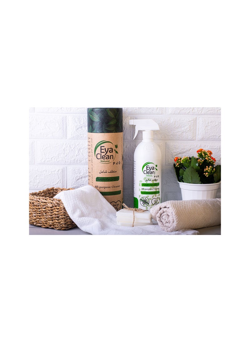 Eya Clean PRO - Eya Clean Pro 2X1 Ltr Package +350ml MULTIPURPOSE CLEANER - Image 1