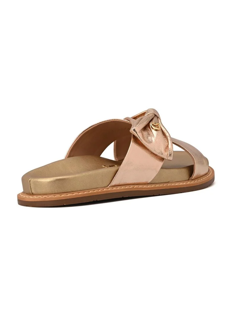 Carmen Steffens  Papete Gold Lace for Women | Best Price UAE