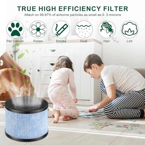 Katerelis 4 Pack MK01 MK06 TZ-K1 Replacement Filter Compatible with AROEVE MK01 MK06 MG01JH, ToLife TZ-K1 and Kloudi DH-JH01, POMORON MJ001H, Elechomes EPI081/EP1081, and Intelabe EPI080/EP1080 - Image 5