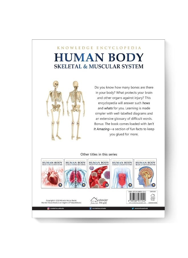 Human Body - Skeletal And Muscular System: Knowledge Encyclopedia For Children  - Image 2