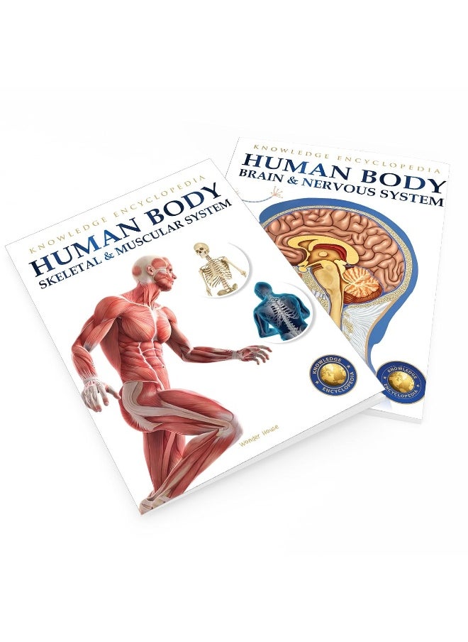 Human Body - Skeletal And Muscular System: Knowledge Encyclopedia For Children  - Image 4