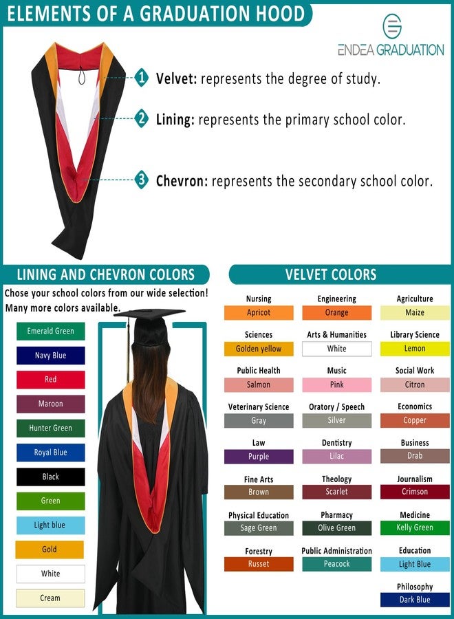 Endea Graduation شهادة التخرج من إنديا للماجستير في التربية والإرشاد والتوجيه والفنون في التعليم - للجنسين (أزرق فاتح/أزرق ملكي/ذهبي) - Image 5
