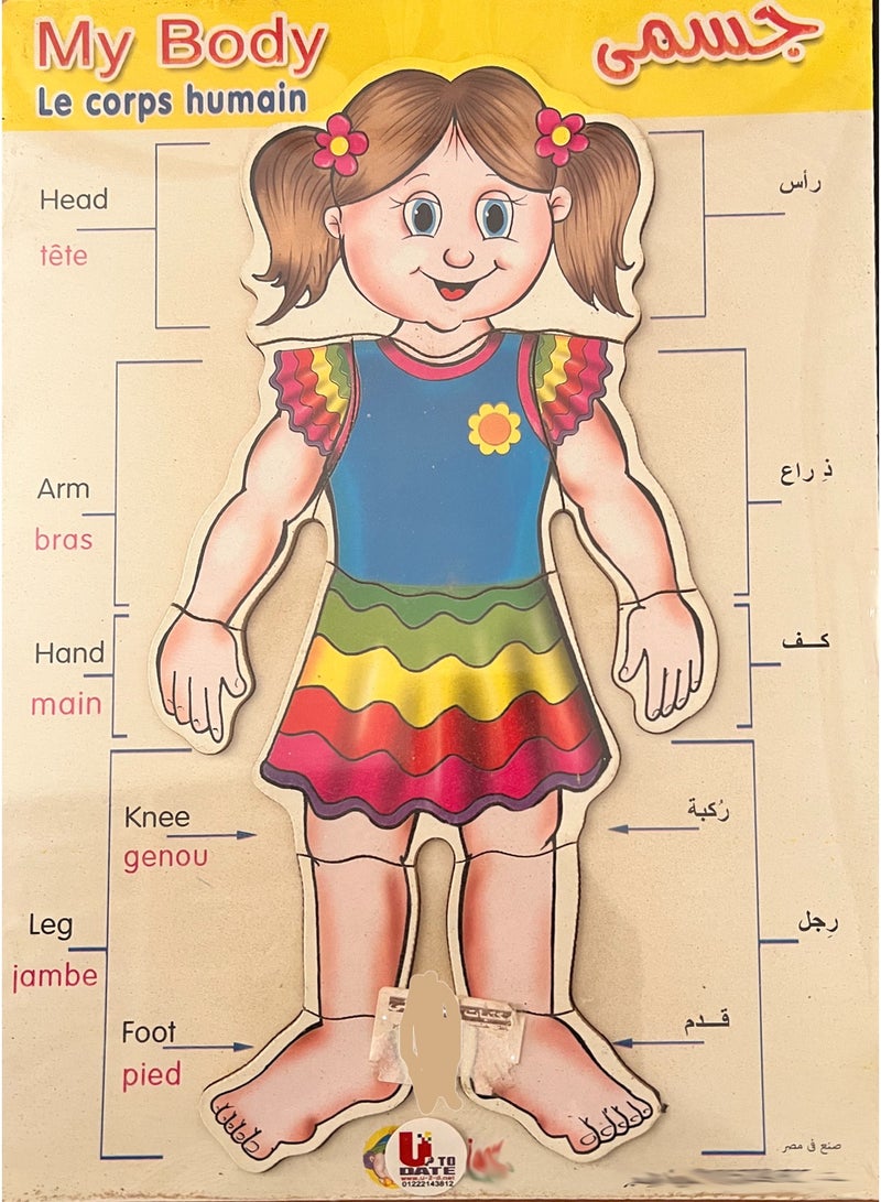 اب تو ديت  بازل جسم الإنسان للبنات، خشب 5 مم، مقاس 33.5 × 23.5 سم، تعليمي متعدد اللغات - Image 1