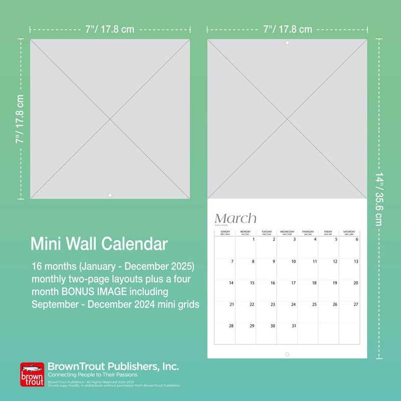 Browntrout Wildflowers | 2025 7 x 14 Inch Monthly Mini Wall Calendar | Plastic-Free | BrownTrout | Flower Outdoor Plant - Image 4