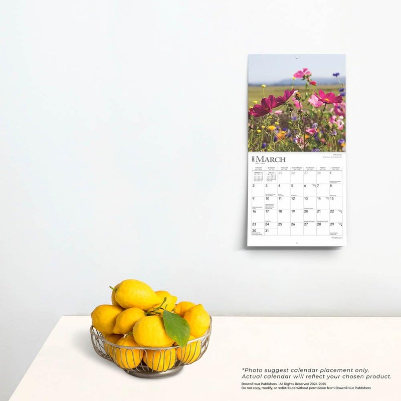 Browntrout Wildflowers | 2025 7 x 14 Inch Monthly Mini Wall Calendar | Plastic-Free | BrownTrout | Flower Outdoor Plant - Image 2