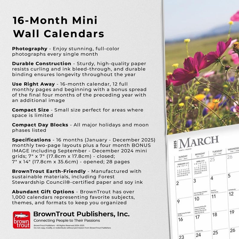 Browntrout Wildflowers | 2025 7 x 14 Inch Monthly Mini Wall Calendar | Plastic-Free | BrownTrout | Flower Outdoor Plant - Image 3