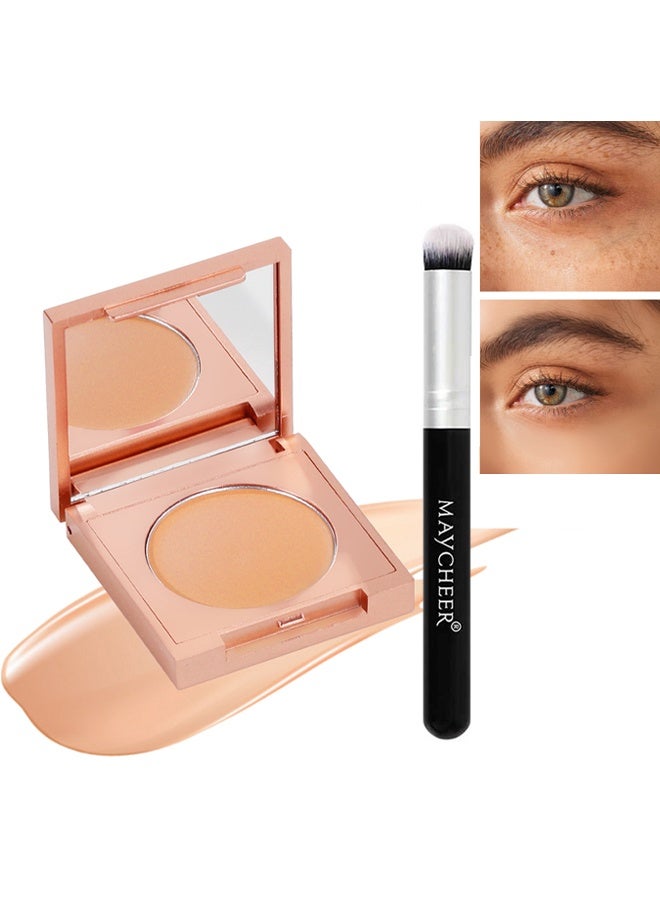 مايتشير كونسيلر مطفي ناعم – كونسيلر كامل التغطية مع فرش المكياج، للهالات السوداء وتغير لون البشرة، ينعم ويرطب ويغذي 02# - Image 1