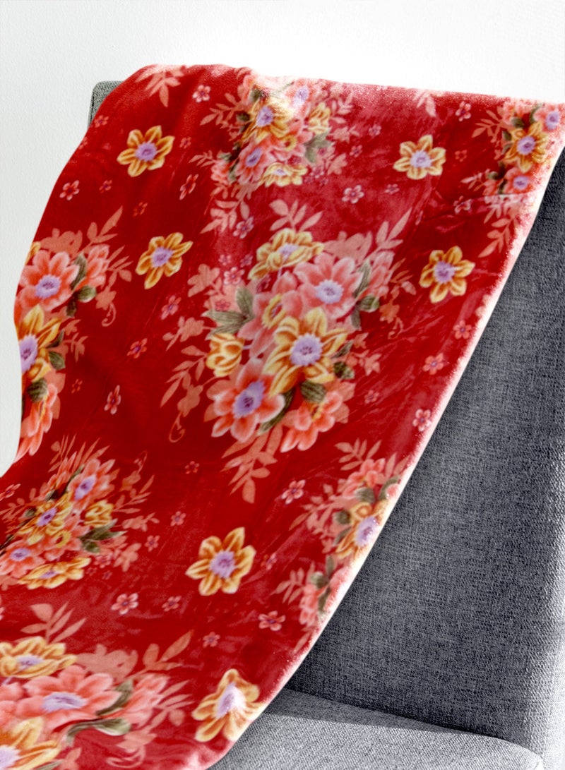 ستارجولد 1 بطانية طبقة واحدة بطانية رويال كلاودي فائقة النعومة ذات جودة أسبانية 160 × 220 سم - Image 3