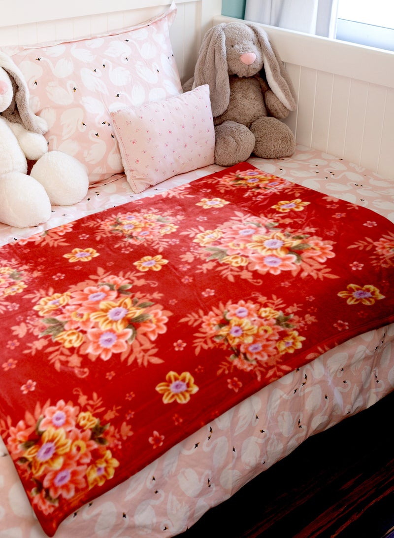 ستارجولد 1 بطانية طبقة واحدة بطانية رويال كلاودي فائقة النعومة ذات جودة أسبانية 160 × 220 سم - Image 2