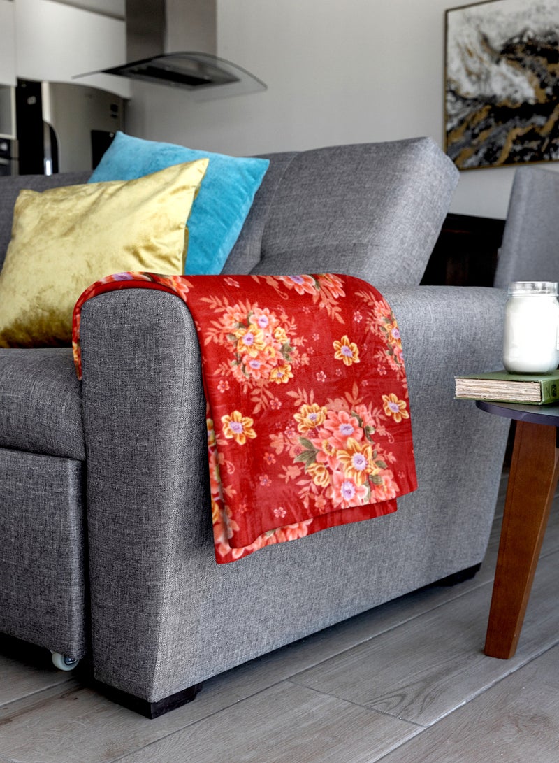 ستارجولد 1 بطانية طبقة واحدة بطانية رويال كلاودي فائقة النعومة ذات جودة أسبانية 160 × 220 سم - Image 5